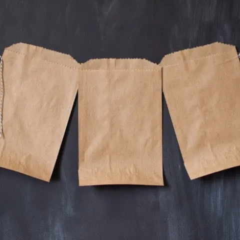 25 brown kraft paper bags
